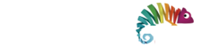 WebFormas - Agência de Marketing em São Paulo